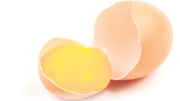 Yumurta kapıya dayandı!